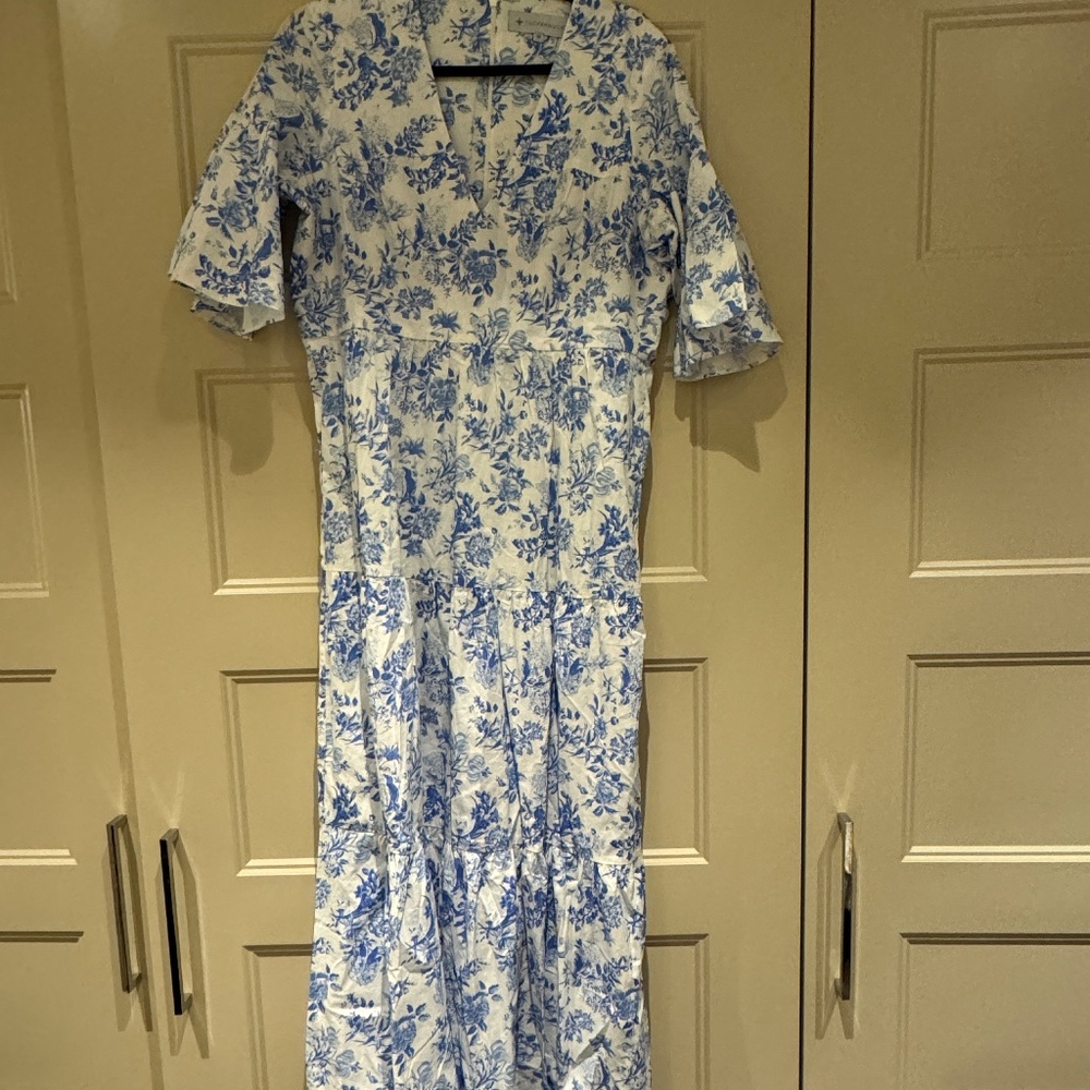 Tuckernuck blue & white ginger dress